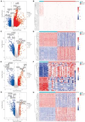 Systematic Construction and Validation of a Prognostic Model for Hepatocellular Carcinoma Based on Immune-Related Genes